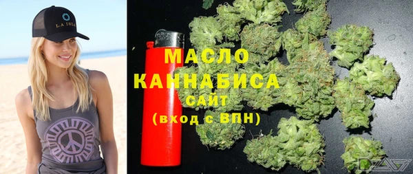 мдпв Верхний Тагил