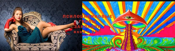мдпв Верхний Тагил