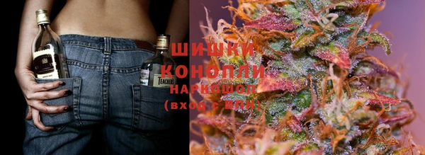 мдпв Верхний Тагил