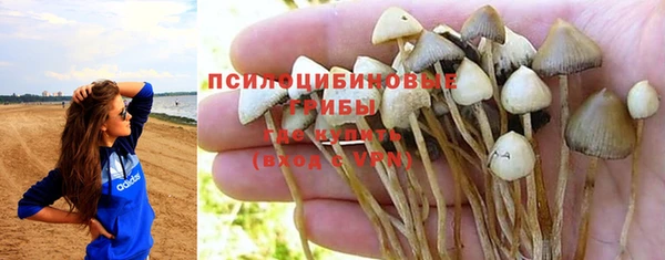мдпв Верхний Тагил